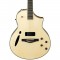 قیمت خرید فروش گیتار الکترو آکوستیک Ibanez  MSC350 NT